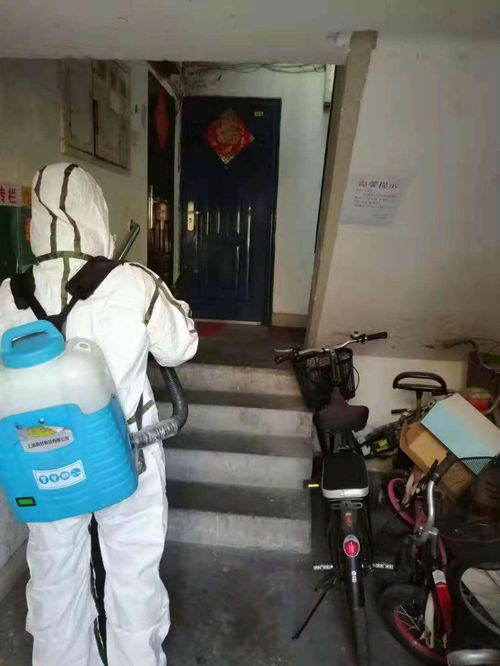 深圳室內消毒滅菌服務 專業守護家居、校園與商業空間的健康環境